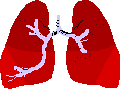 現在の肺の状態
